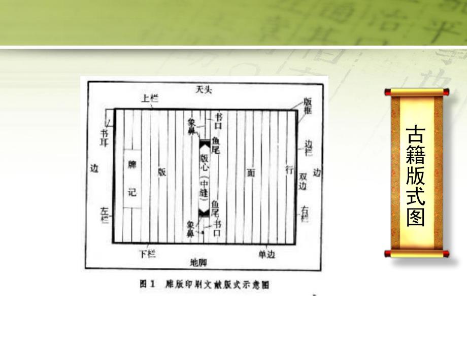 古籍版本鉴定.ppt_第2页