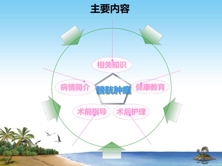 一例膀胱肿瘤电切术的护理查房.ppt_第2页