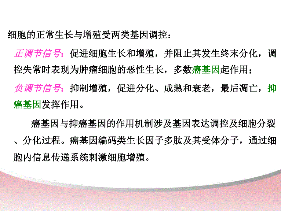 第十一章癌基因与抑癌基因.ppt.ppt_第2页