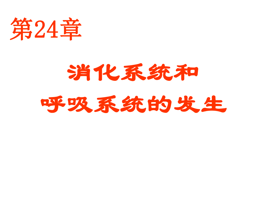 24消化系统和呼吸系统的发生.ppt_第1页