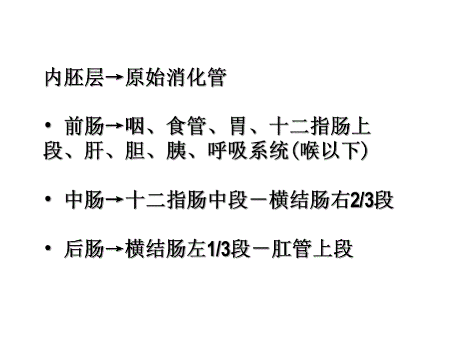 24消化系统和呼吸系统的发生.ppt_第2页