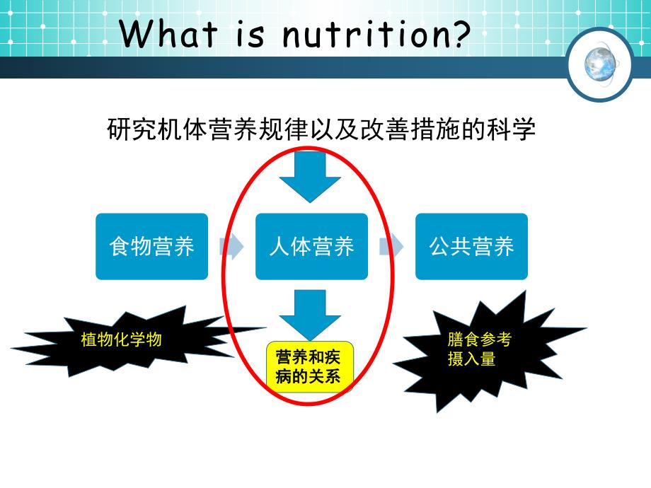 营养学研究方法.ppt_第2页