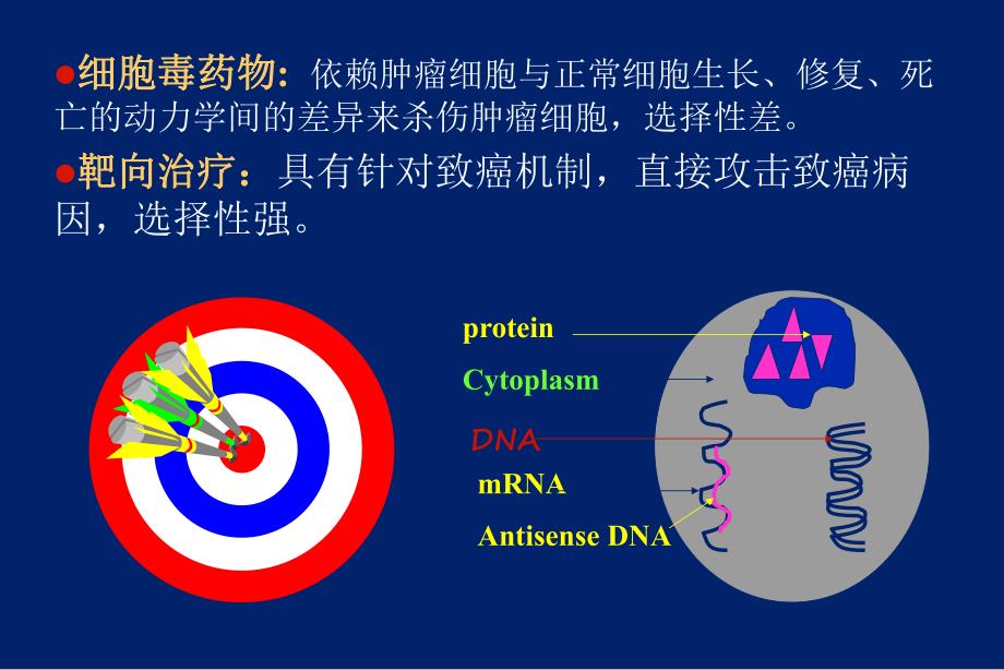 肿瘤分子靶向治疗ppt.ppt_第3页