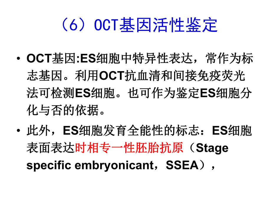 细胞工程第7章干细胞与组织工程.ppt_第1页