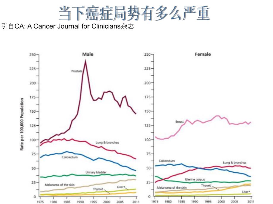 肿瘤的发生机制与治疗.ppt_第3页