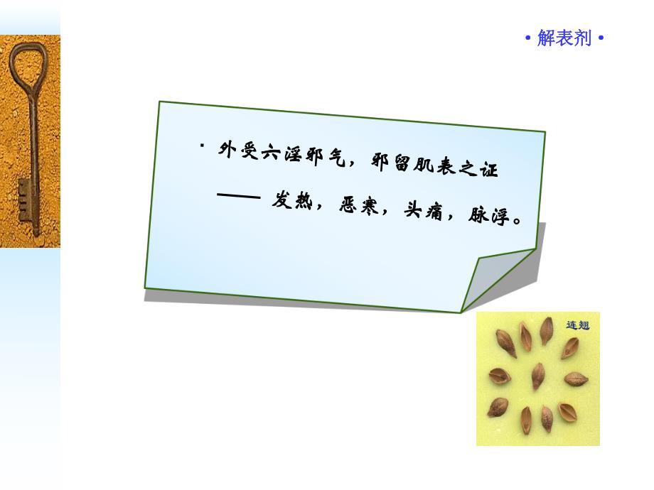 解表剂 方剂学ppt(广州中医药大学).ppt_第3页