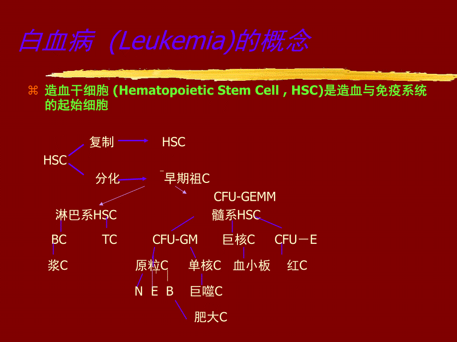 白血病.ppt.ppt_第3页