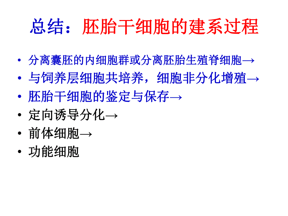 细胞工程第7章干细胞与组织工程.ppt_第3页