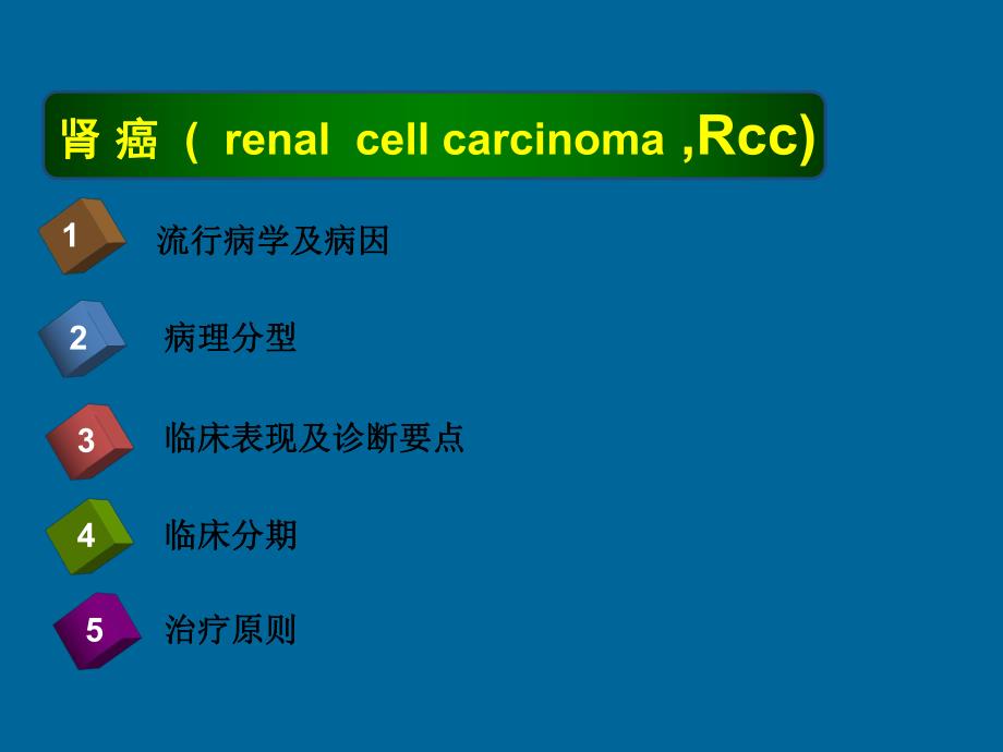 肿瘤学肾癌.ppt幻灯片1.ppt_第2页