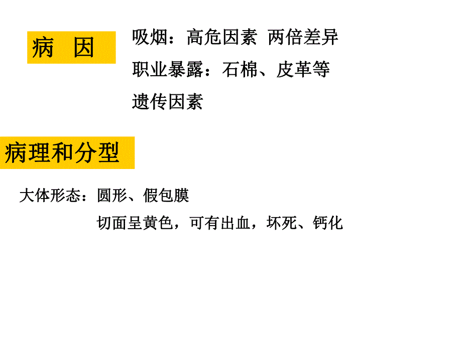 泌尿系肿瘤病人的护理..ppt_第2页