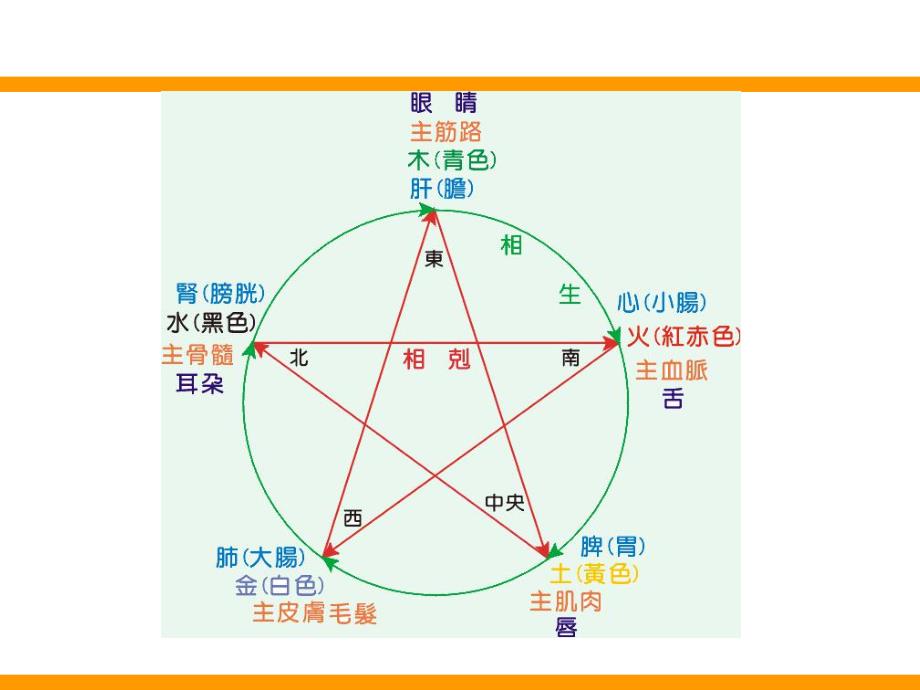 健康宝典之中医基础.ppt_第3页