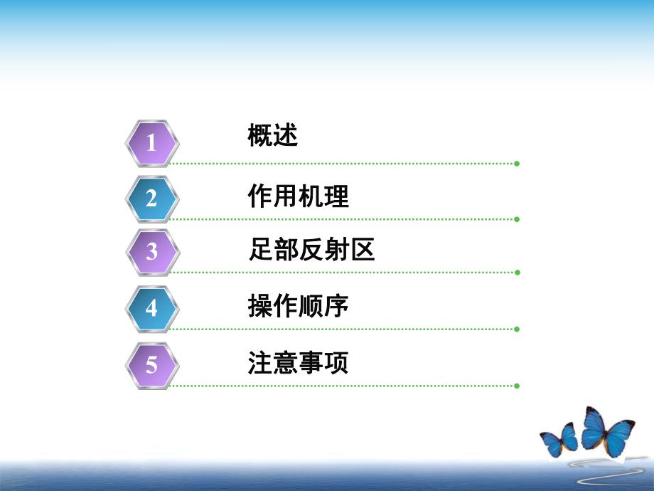 足部反射区疗法.ppt.ppt_第2页