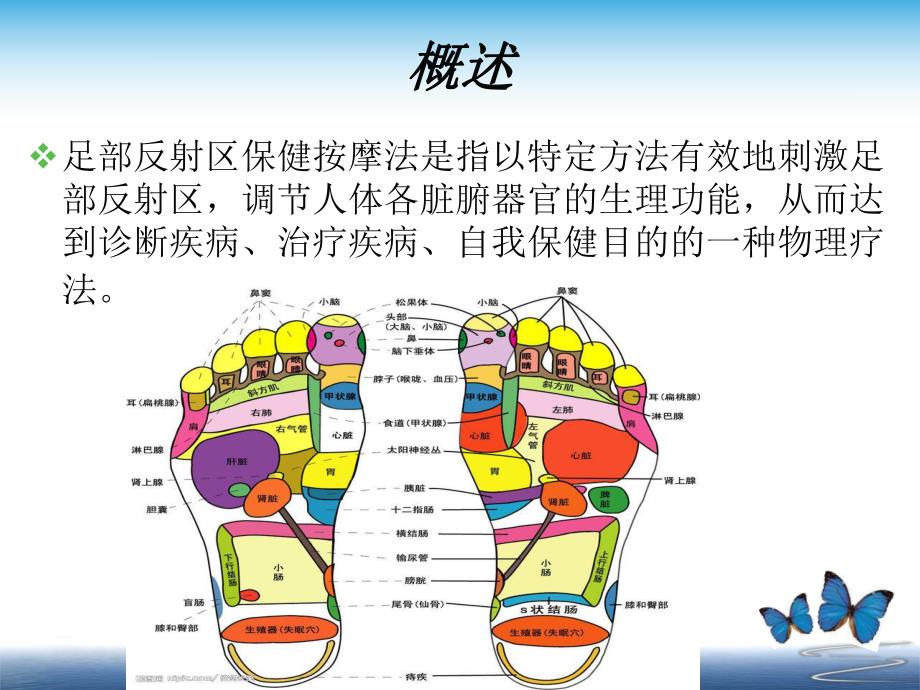 足部反射区疗法.ppt.ppt_第3页