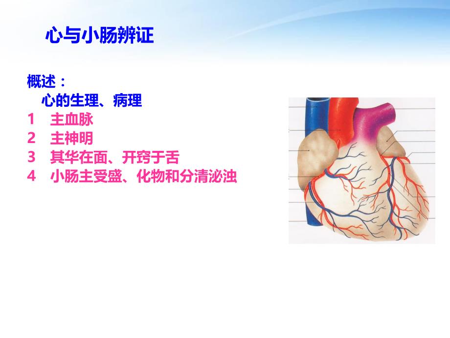 脏腑辨证.ppt_第2页