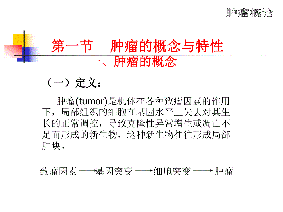 【基础医学】第五章 肿瘤概论.ppt_第2页