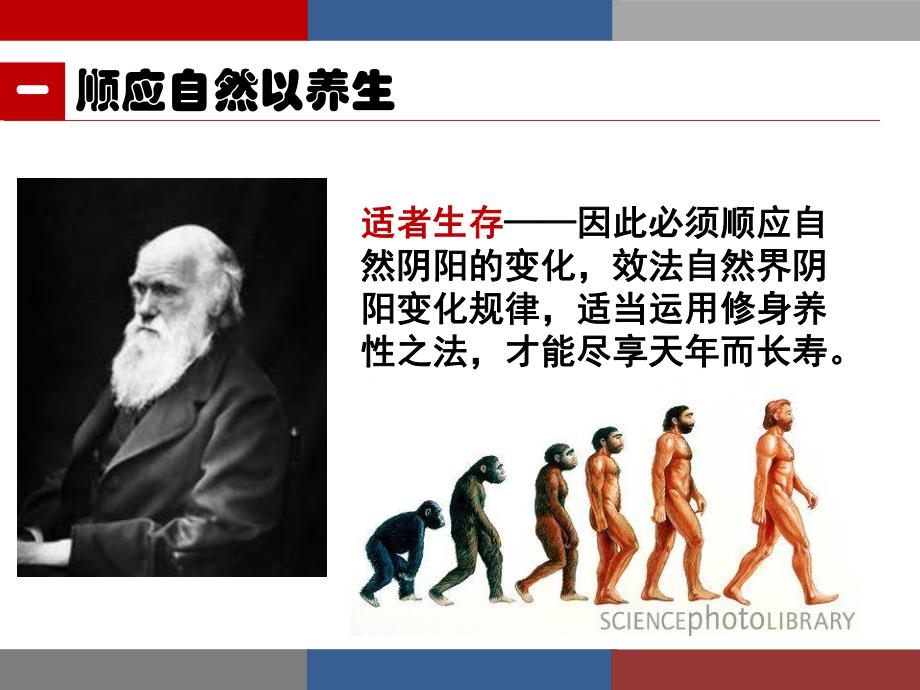 老养生PPT编辑.ppt_第3页