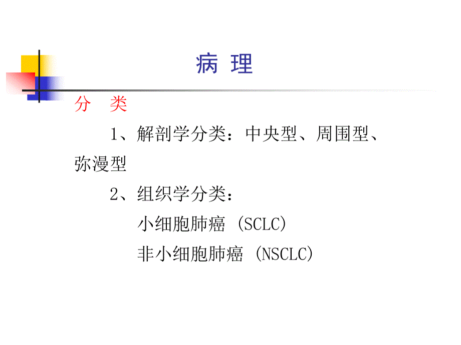 原发性支气管肺癌2.ppt_第2页