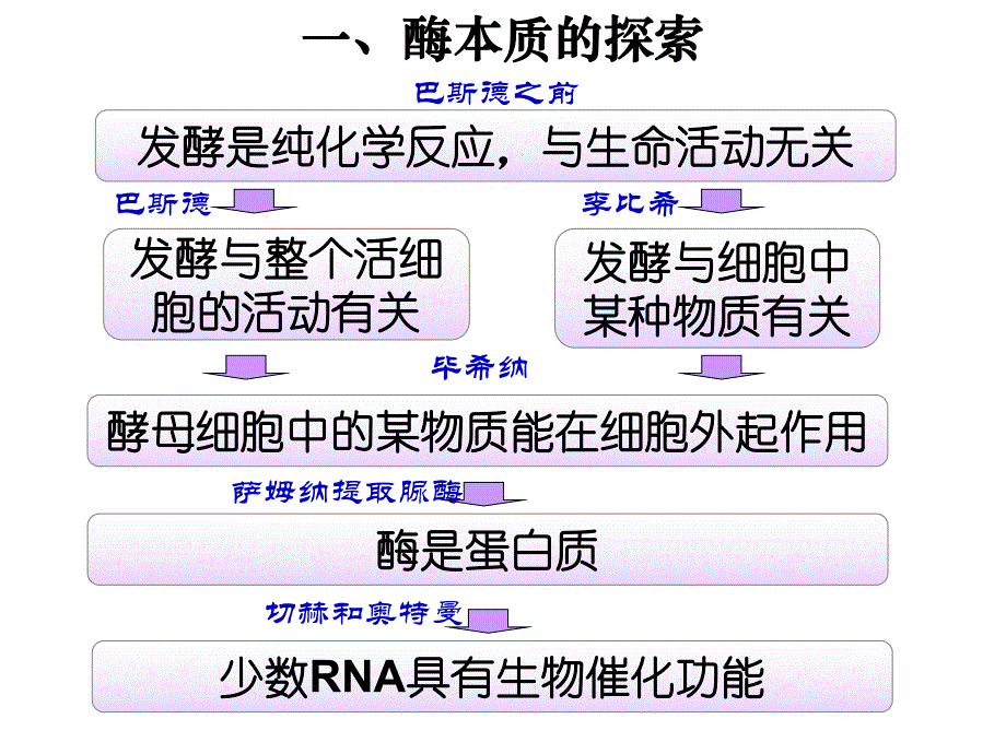 第5章第1讲降低反应活化能的酶第2讲ATP.ppt_第3页