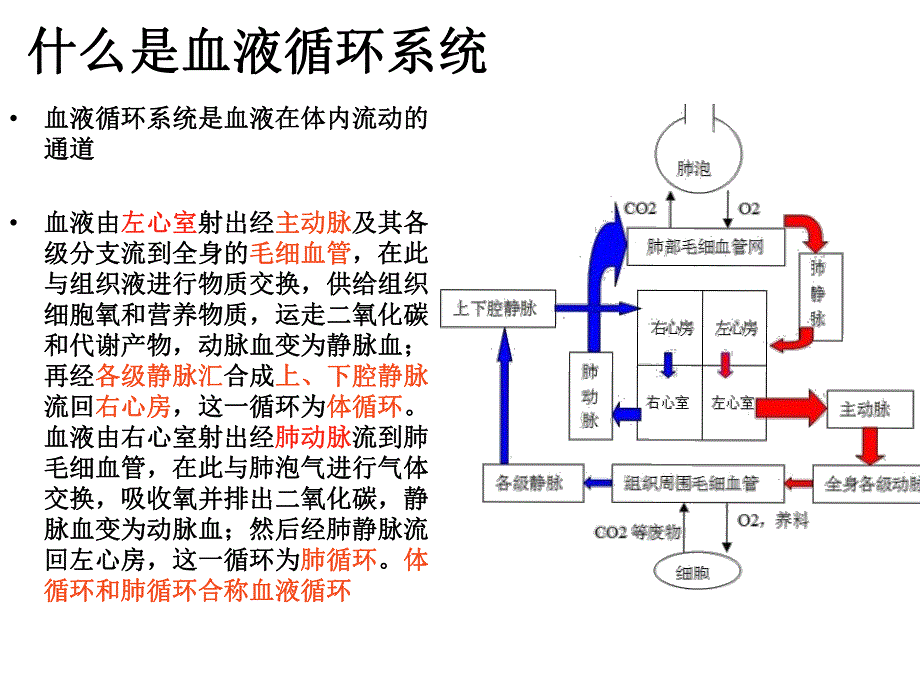 微循环和甲壁微循环检测仪学习.ppt_第2页