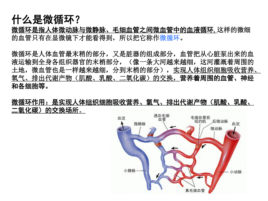 微循环和甲壁微循环检测仪学习.ppt_第3页