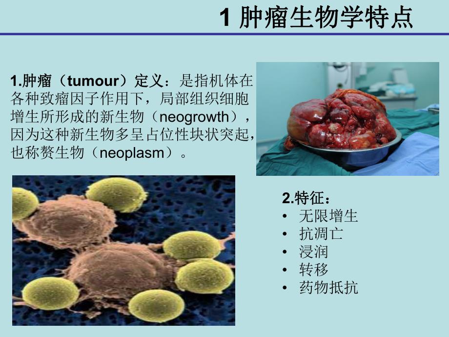 肿瘤微环境.ppt_第3页