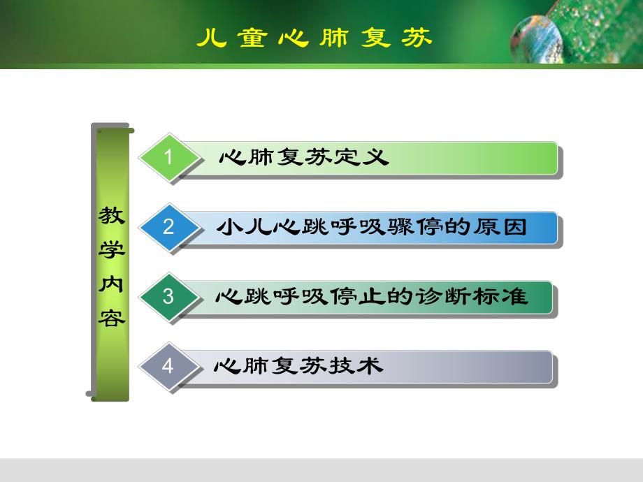 儿童心肺复苏.ppt_第2页