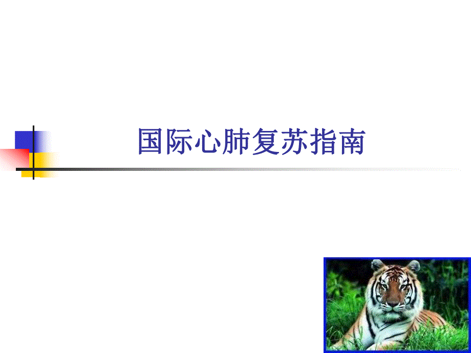 2005国际心肺复苏指.ppt_第1页