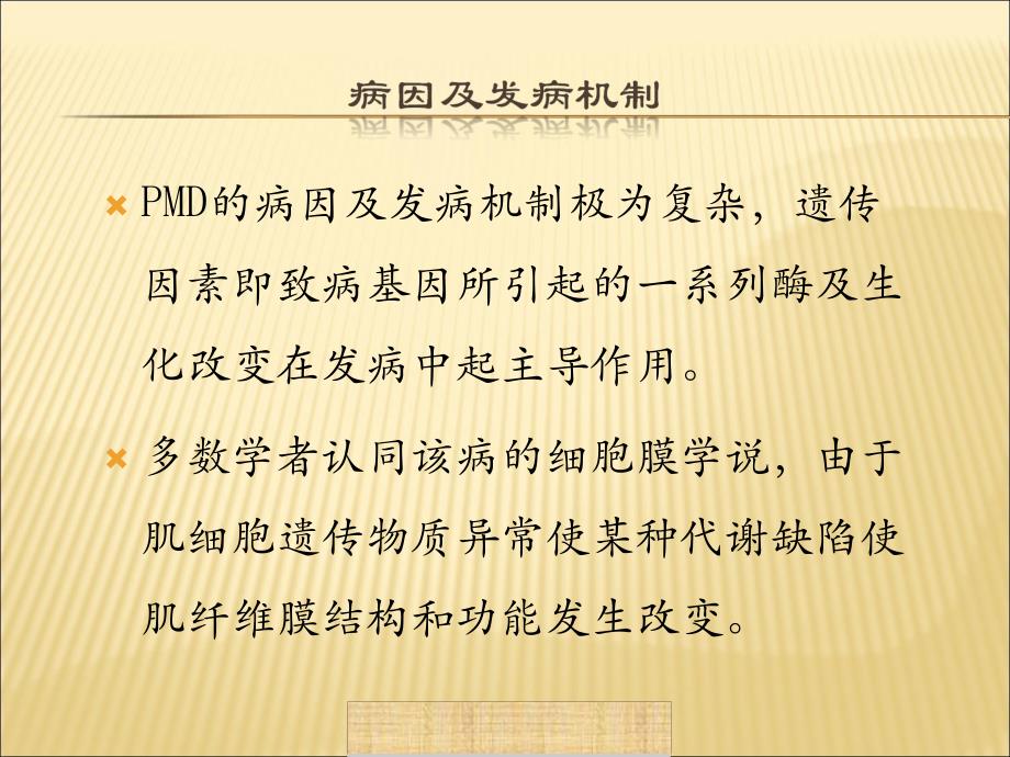 进行性肌营养不良症含病理.ppt_第3页