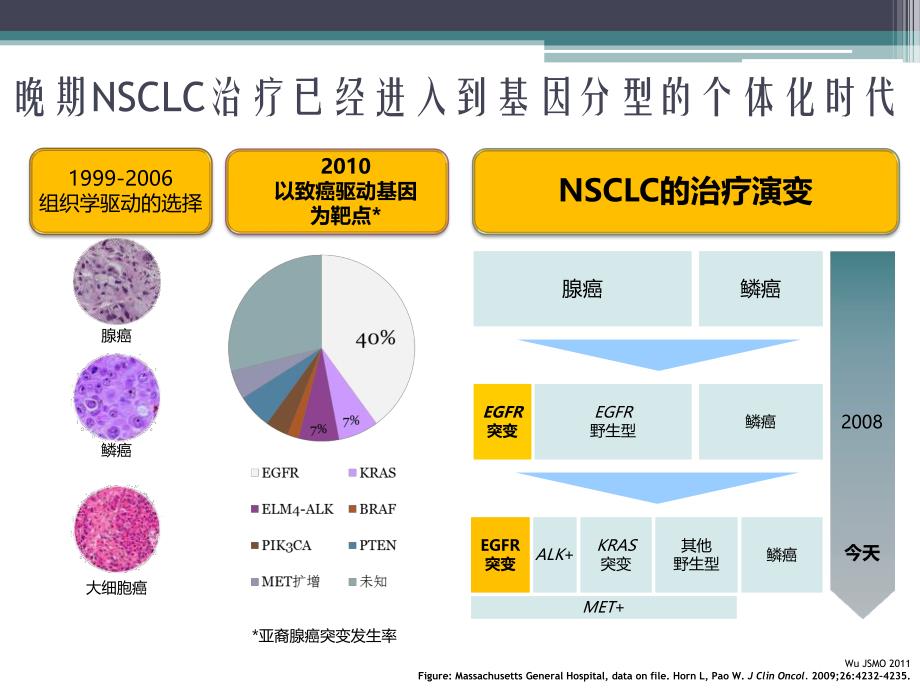 非小细胞肺癌脑转移的综合治疗.ppt_第3页