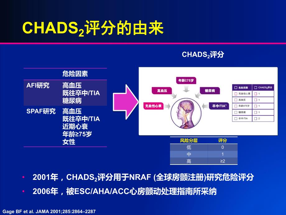 中国房颤患者抗凝治疗.ppt_第2页