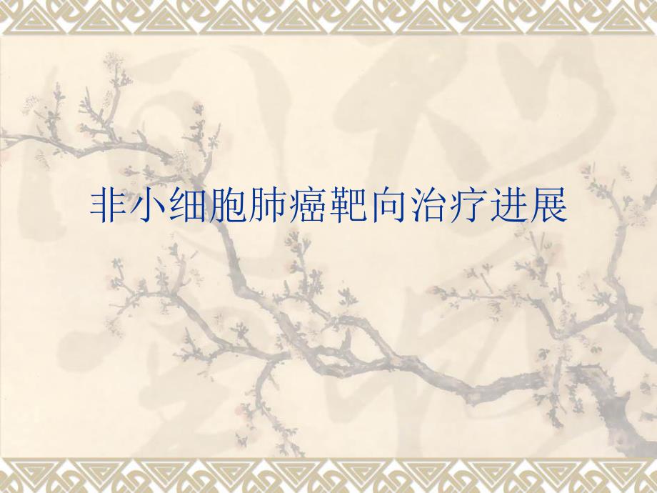 非小细胞肺癌靶向治疗进展.ppt_第1页