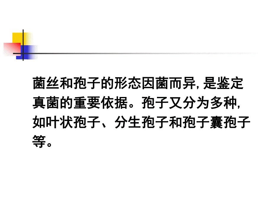 医学真菌感染实验诊断.ppt_第3页