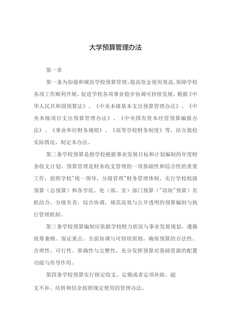 大学预算管理办法.docx_第1页