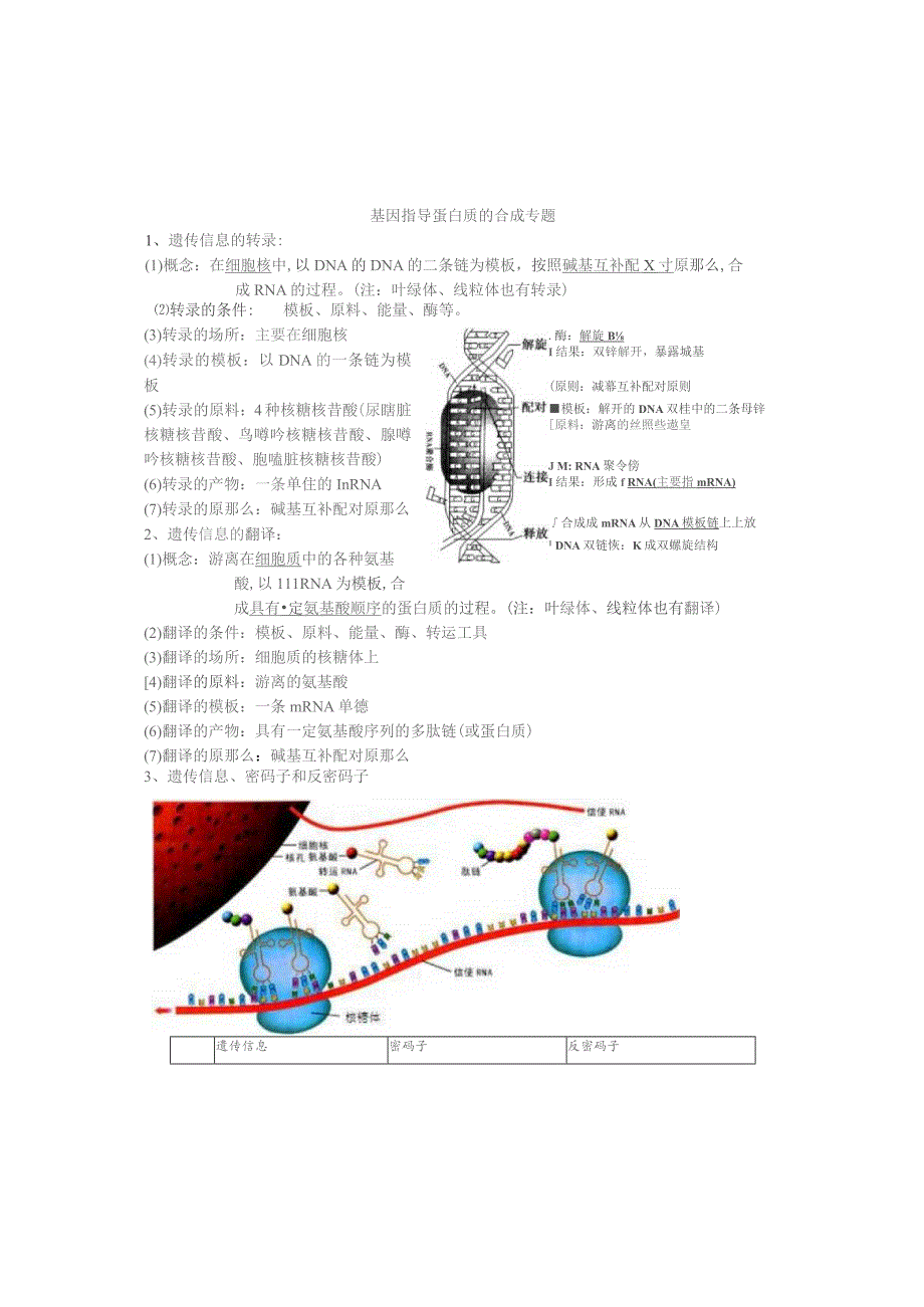 基因指导蛋白质的合成专题.docx_第1页