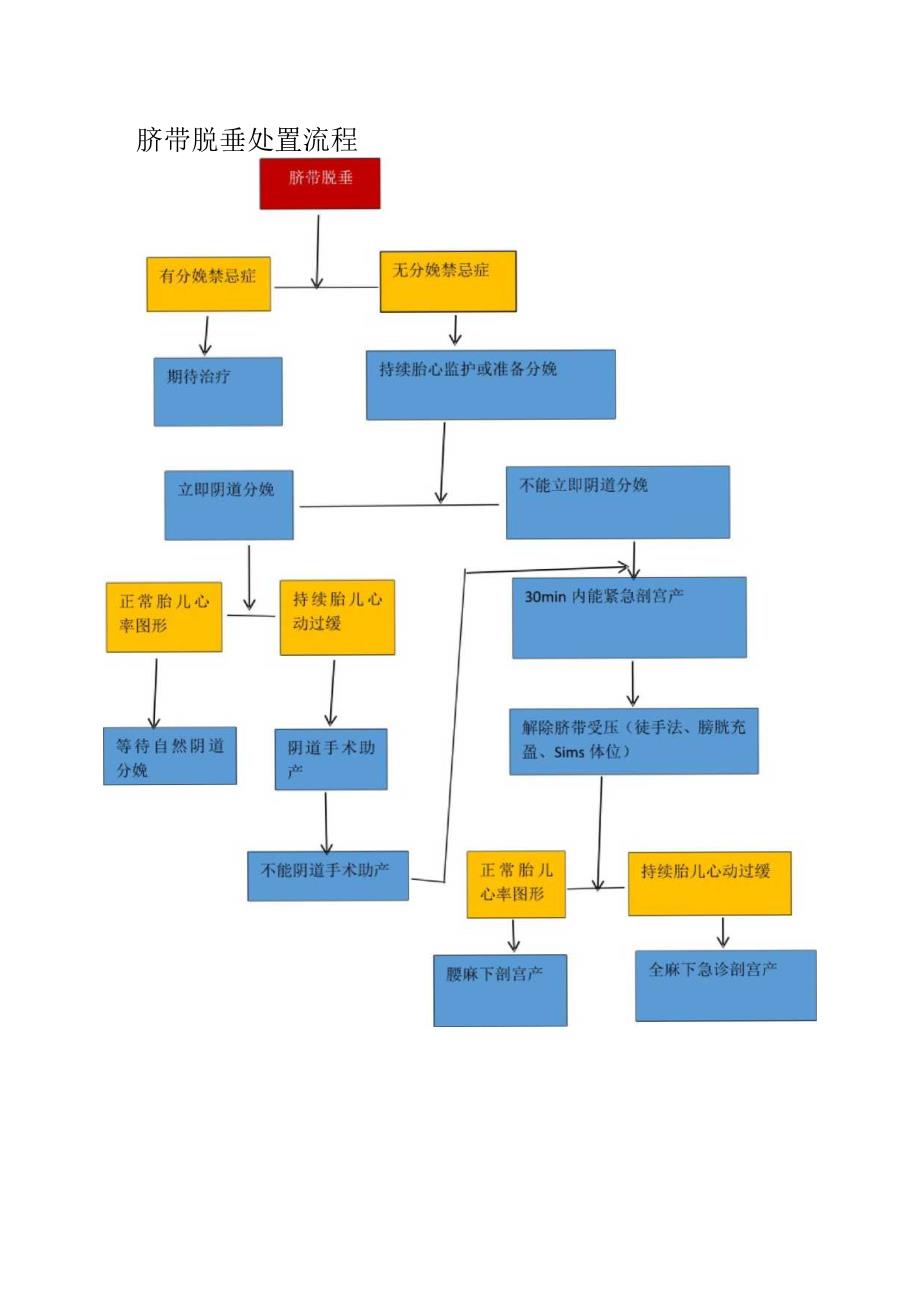 脐带脱垂应急预案.docx_第2页