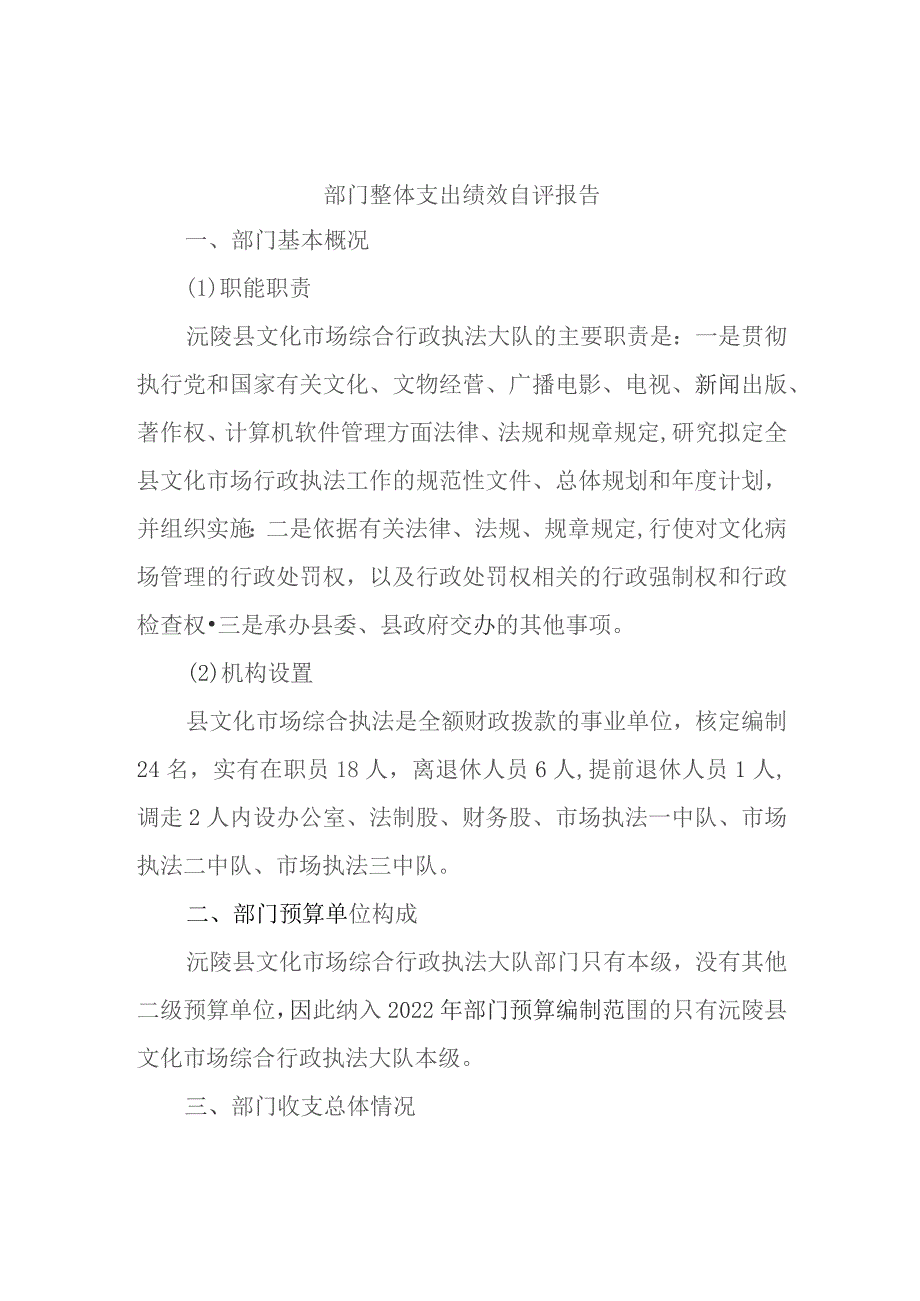 部门整体支出绩效自评报告.docx_第1页