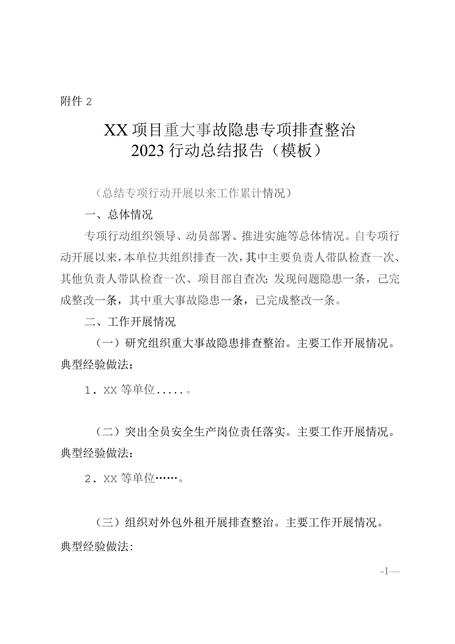 项目重大事故隐患专项排查整治2023行动总结报告（模板）.docx_第1页