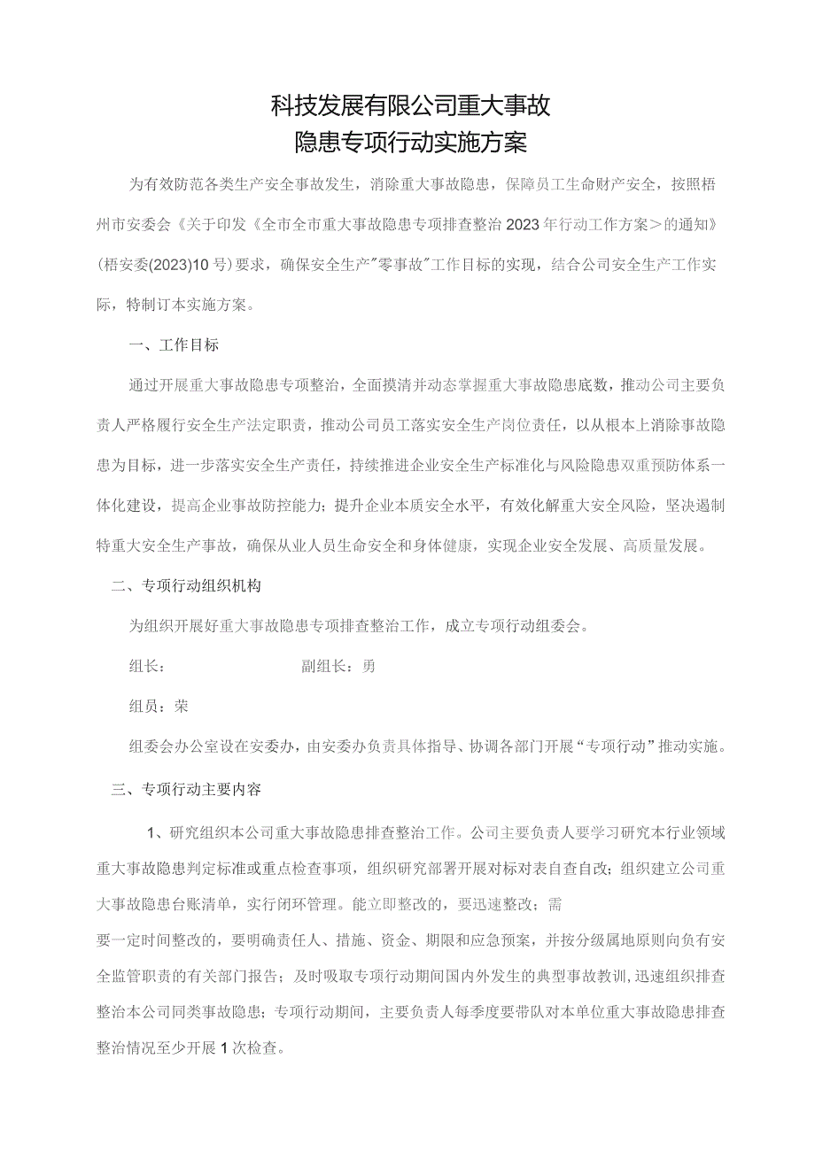 重大事故隐患专项行动实施方案.docx_第1页