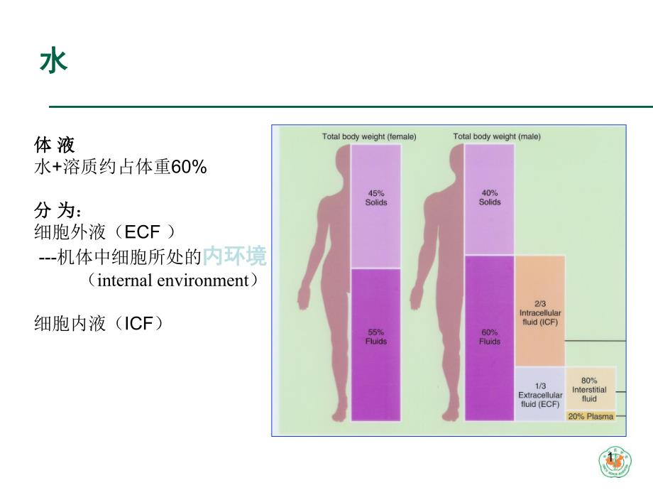 重症病人内环境紊乱诊治.ppt_第1页