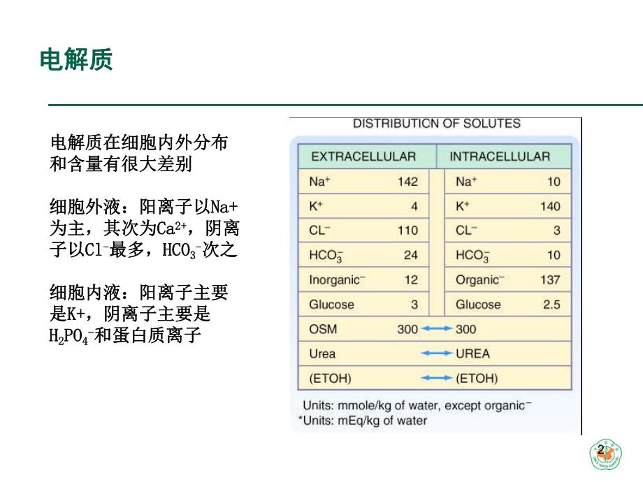 重症病人内环境紊乱诊治.ppt_第2页