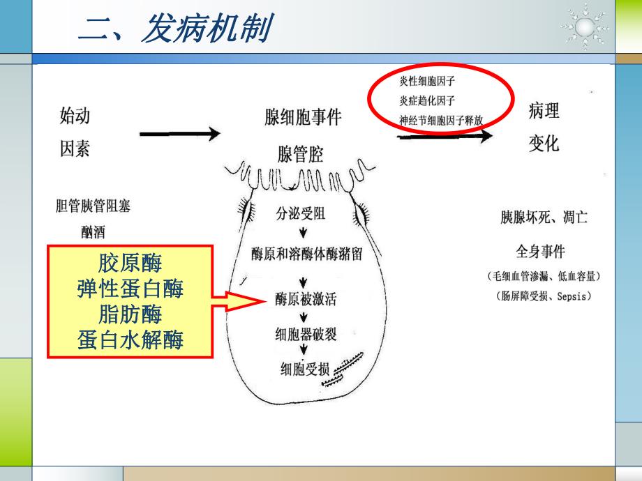 危重症医师培训 重症急性胰腺炎.ppt_第3页