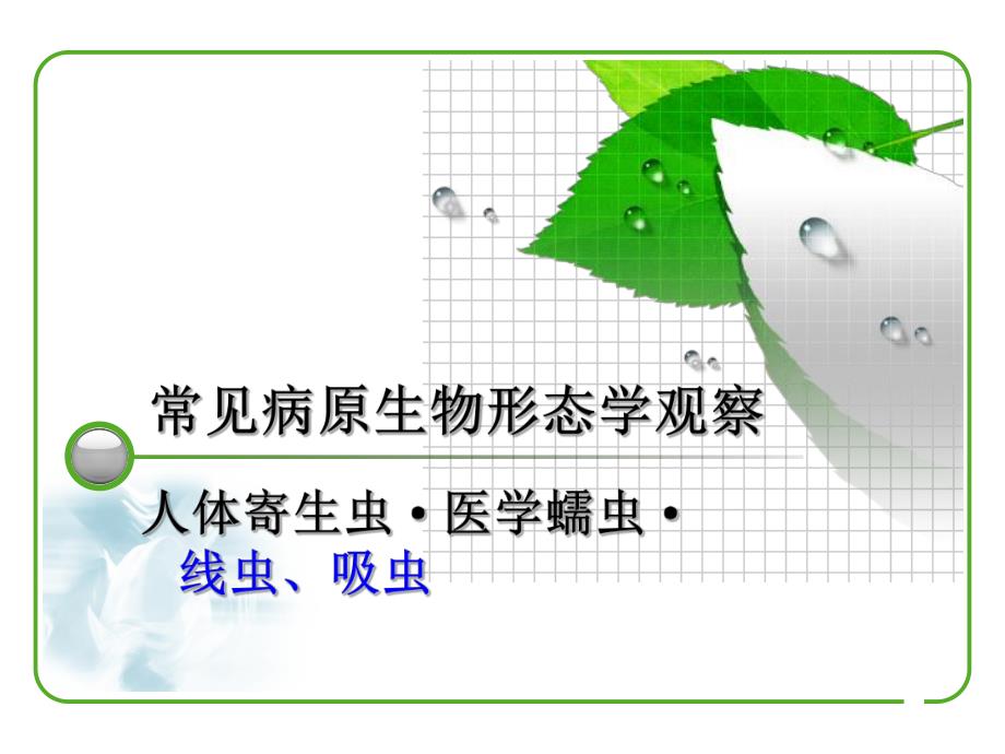 病原学形态观察.寄生虫.ppt_第1页