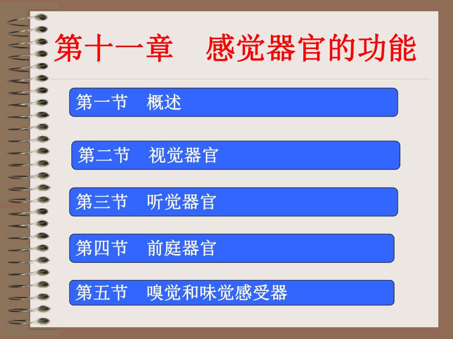 感觉器官的功能.ppt_第1页