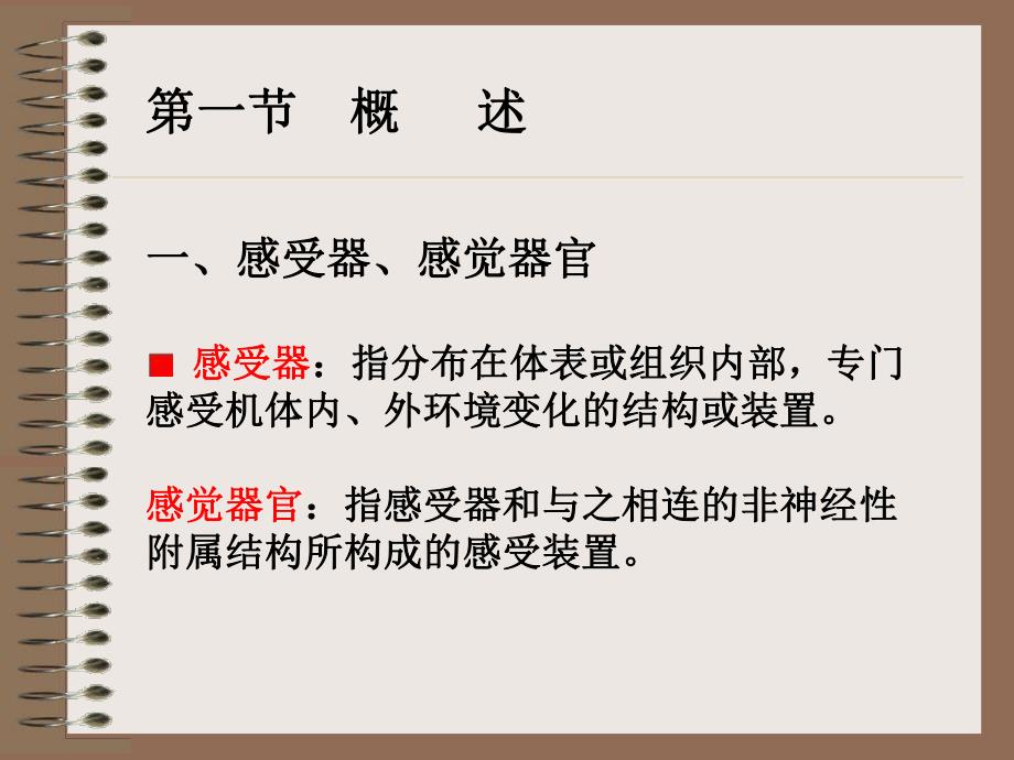 感觉器官的功能.ppt_第2页