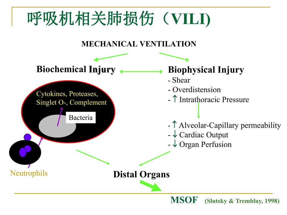 肺保护性通气策略.ppt_第3页