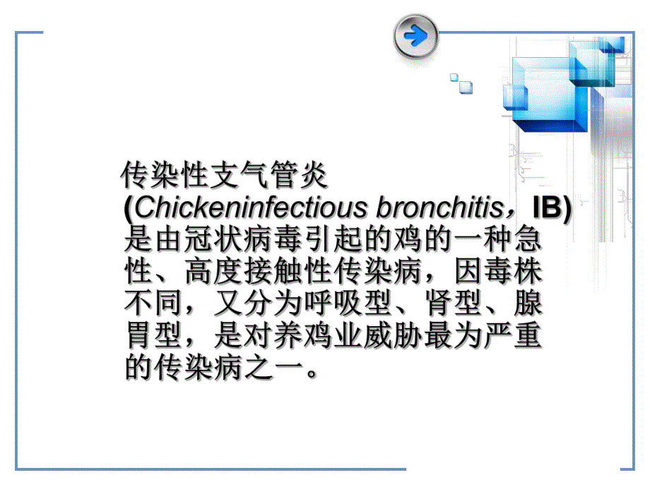 传染性支气管炎预防.ppt_第3页