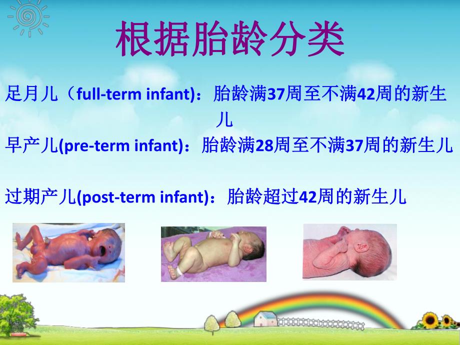 早产儿的护理.ppt.ppt_第3页