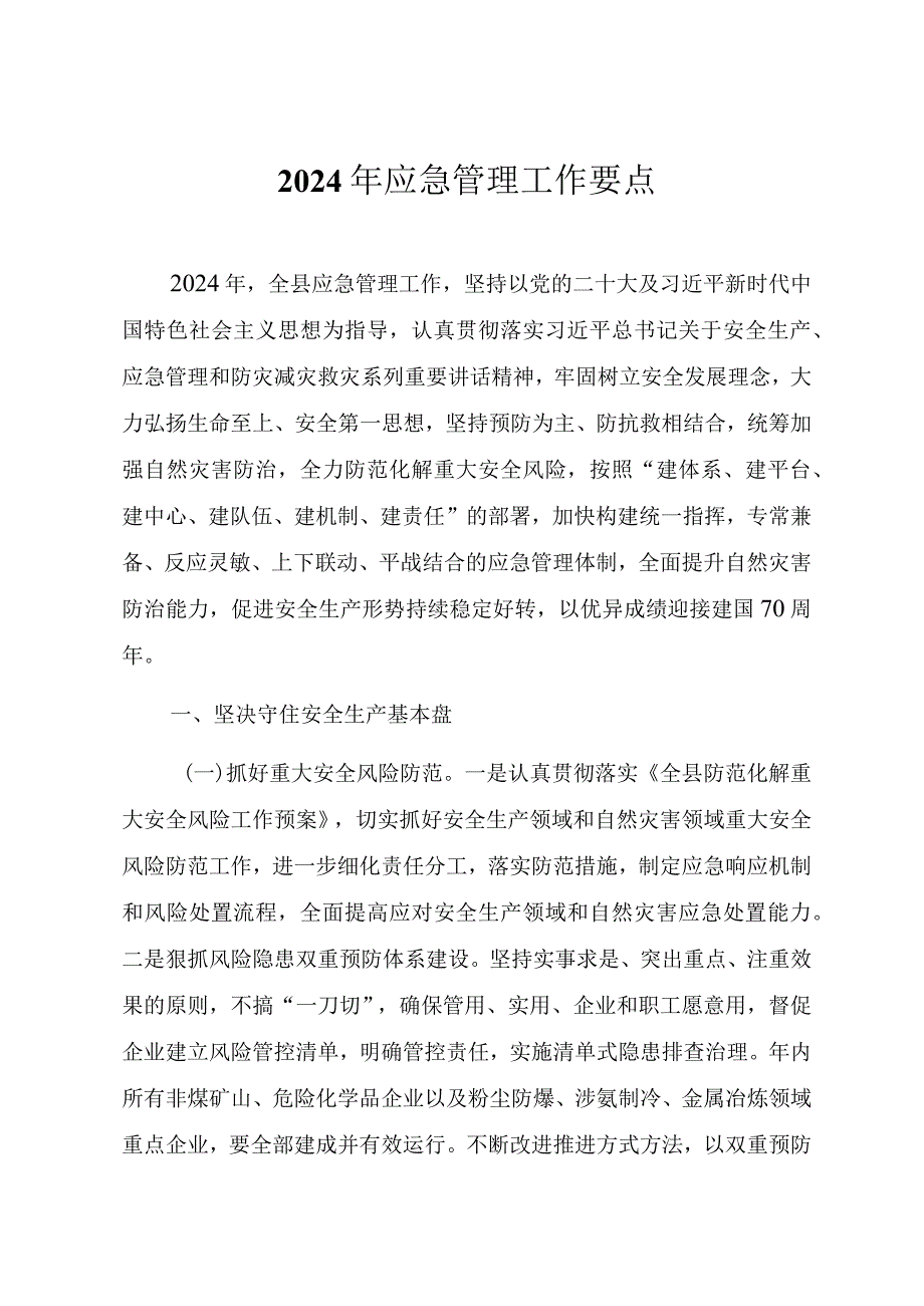 某地区2024年应急管理工作要点.docx_第1页