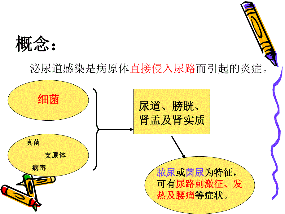 小儿泌尿道感染.ppt.ppt_第2页