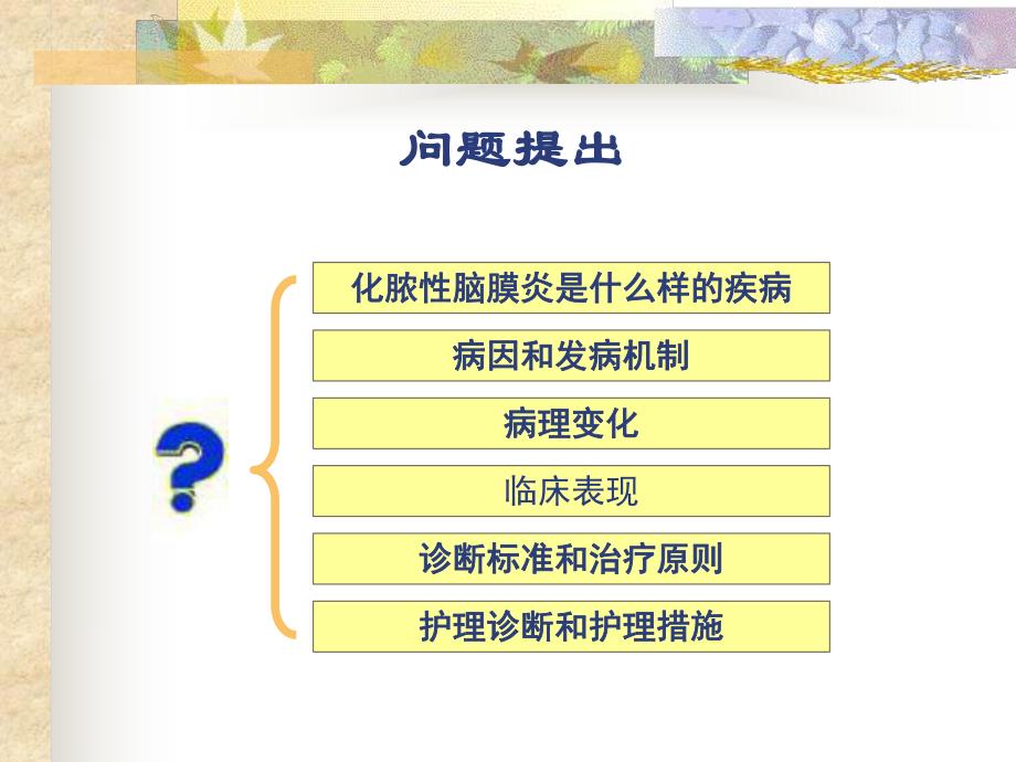 化脓性脑膜炎.ppt_第2页